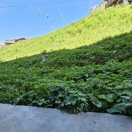 - Inout - 4 Beds Flat C-e18 דירה