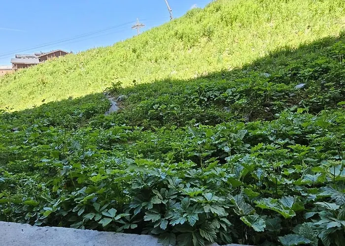 - Inout - 4 Beds Flat C-e18 Apartman